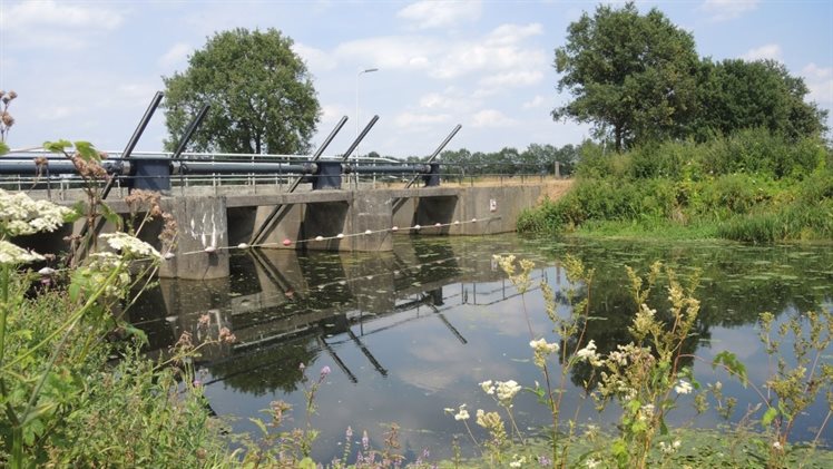 Dinkel omgeving Stokkenspiek