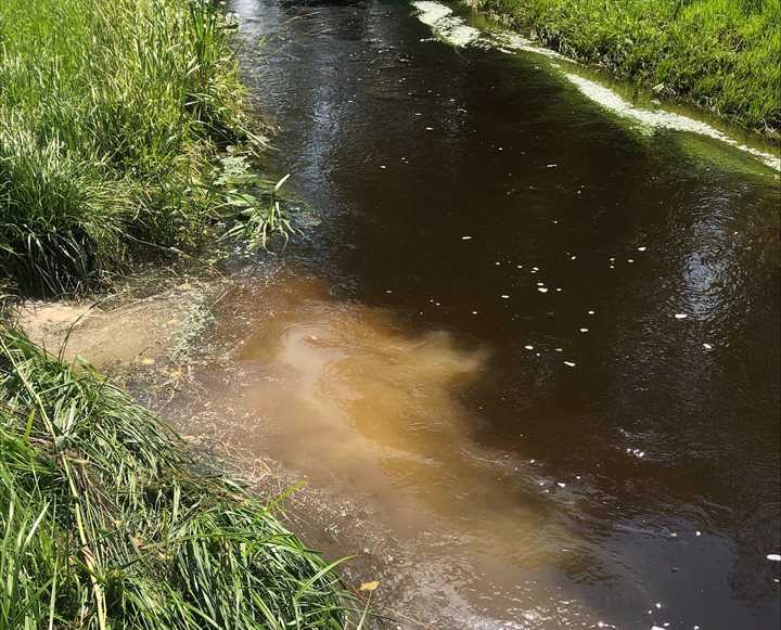Spikkersbeek