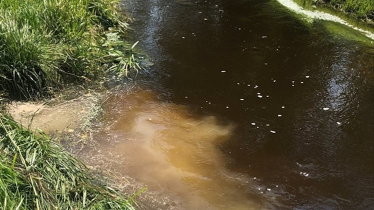 Spikkersbeek