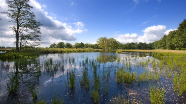 voorbeeld slenk