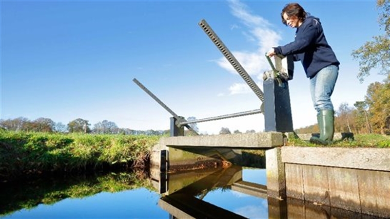 procesbegeleiding