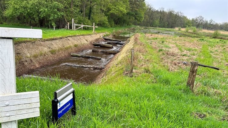 Hagmolenbeek met houten bielzen Oude Haaksbergerdijk2