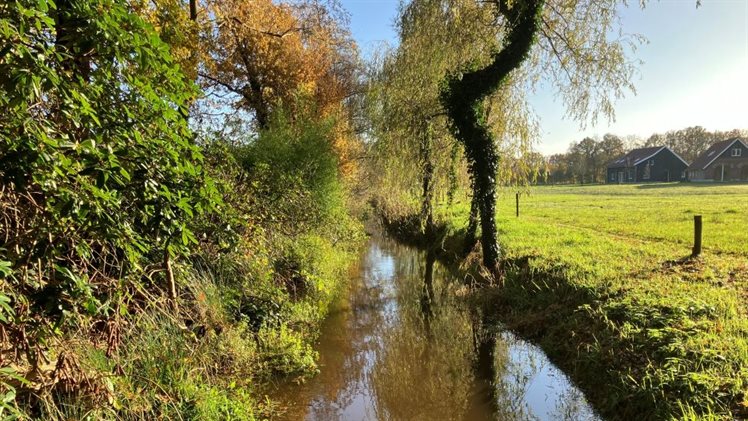 Hegebeek