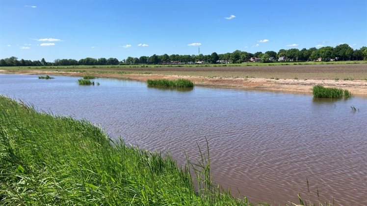 natuurvriendelijke oevers Schoonebeekerdiep