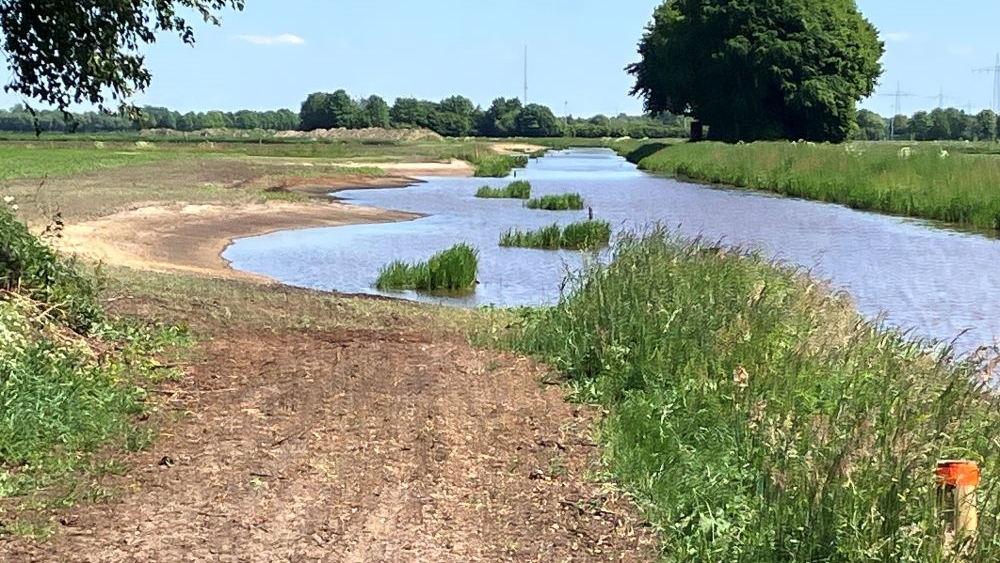 natuurvriendelijke oever Schoonebeekerdiep