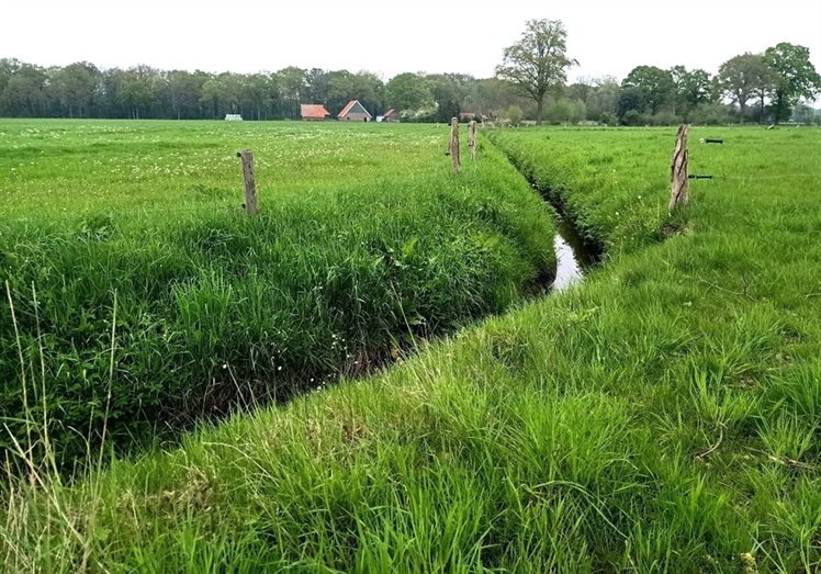 Meten met boeren Twente