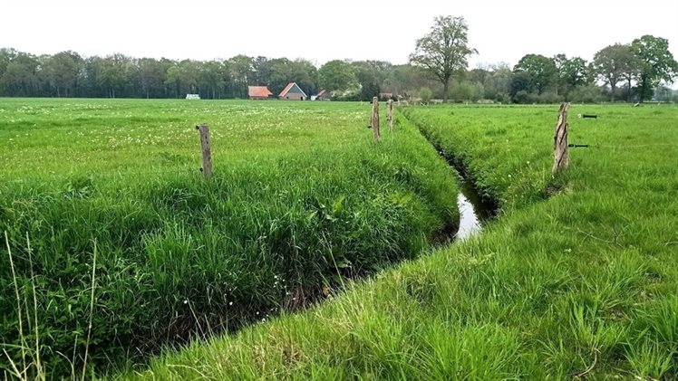 Meten met boeren Twente