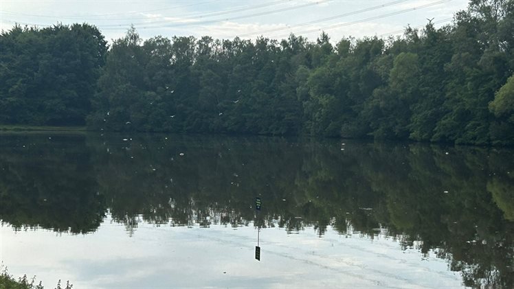 broekheurne