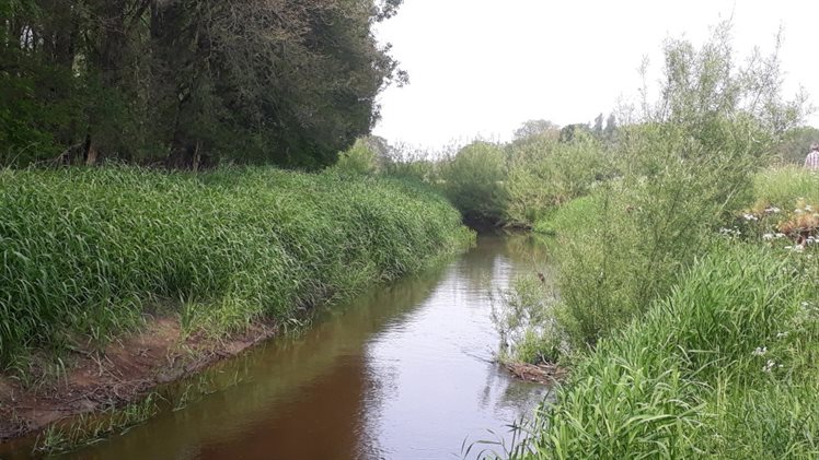 Dinkel kralen Noord foto 2