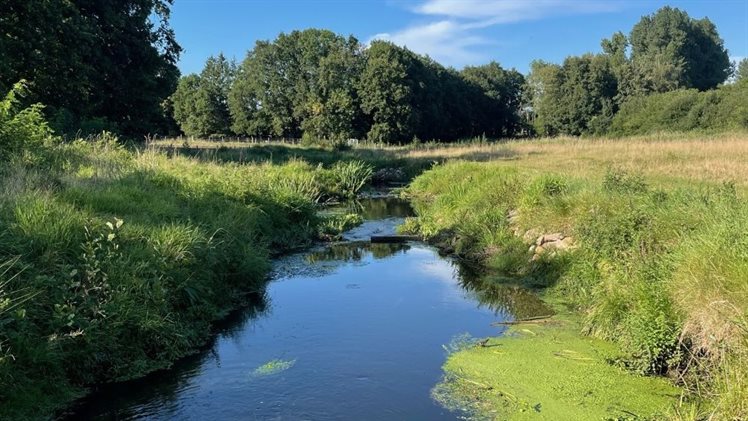 heringerichte glanerbeek