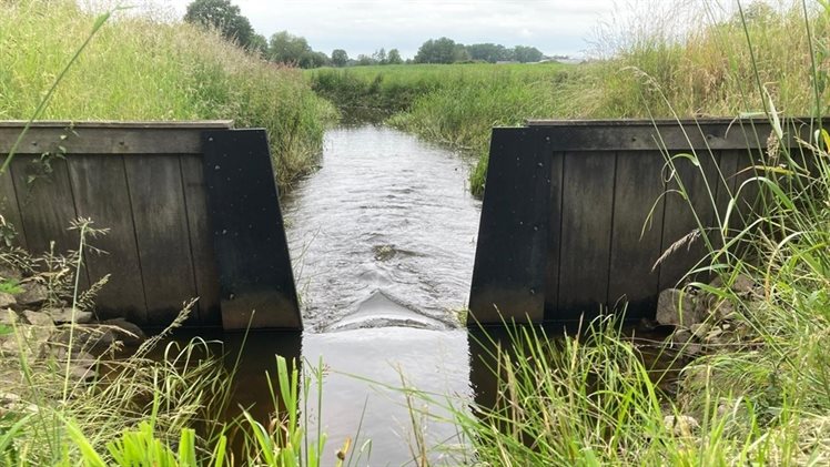 Fleringenmolenbeek PJ 1