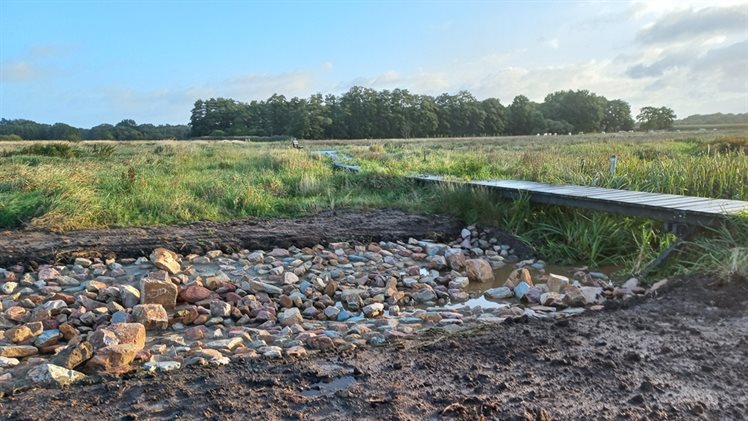 Nieuw aangelegde stopstenen