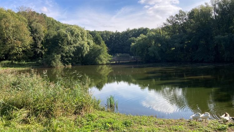 Smuddeboshoek2