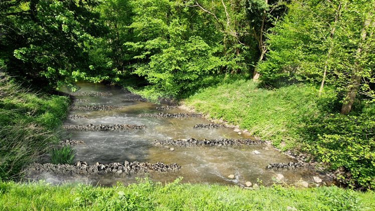 ontwerp Vispassage schuivenhuisje