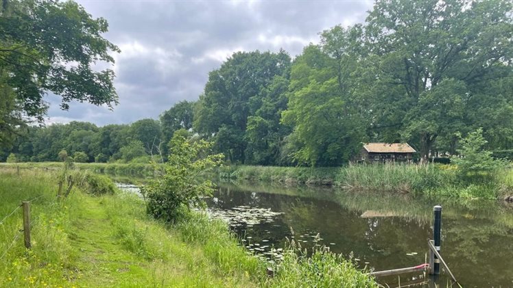 Beneden-Regge Vilsteren