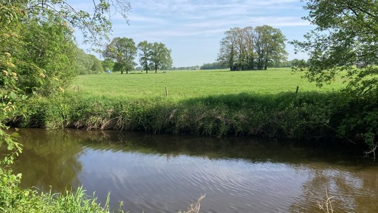 dinkel harseveld duitsland