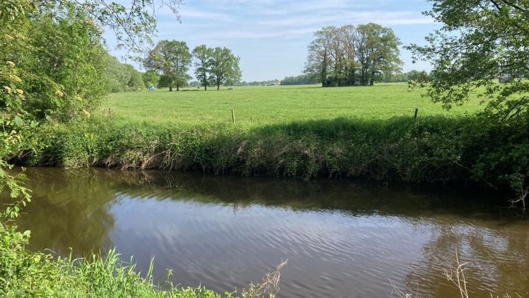 dinkel harseveld duitsland