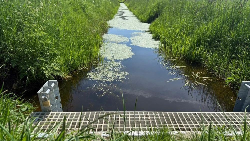 roelinksbeek met droogtestuw