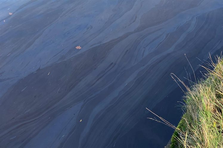 Olievlek KADH 131225 kopie