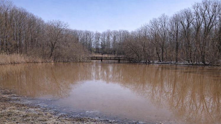 Smuddeboshoek najaar 2025