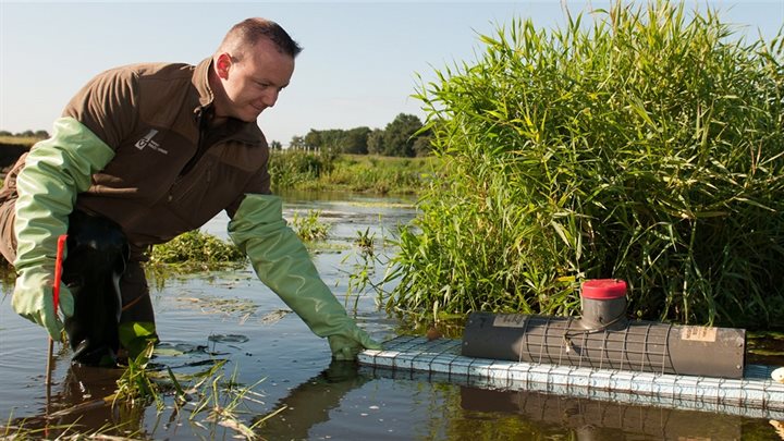 carrousel_ratten_mura