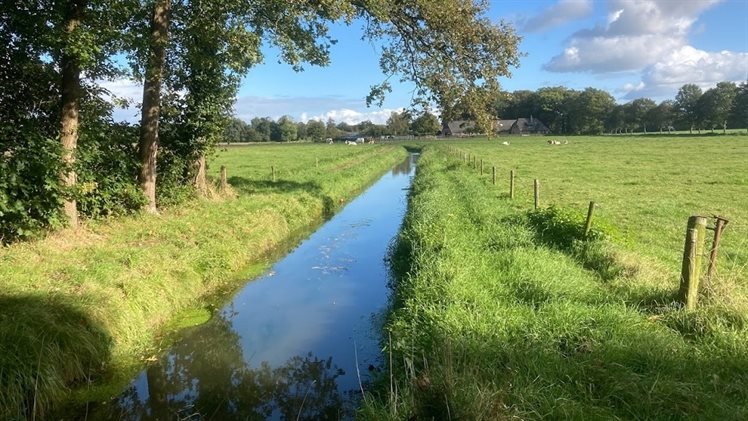 Algemene foto gebied BLL