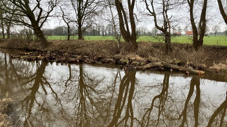 stobben aangebracht in de Dinkel