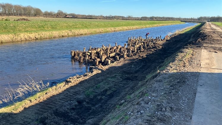 stobben in de midden Dinkel
