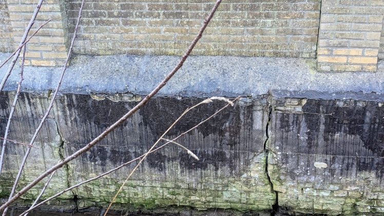 Berflobeek Korenmolen 2