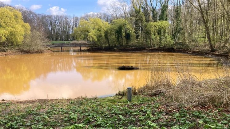 Waterpeil vijver Enschede