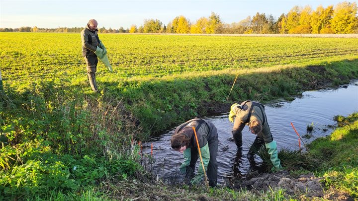 whatsapp_image_2026-02-12_at_15-57-36_1