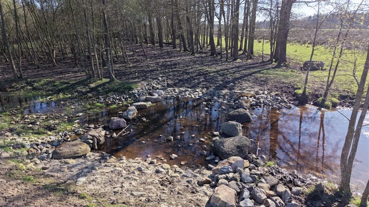 In het gebied Mepper Hooilanden is een vispasseerbare drempel aangebracht.
