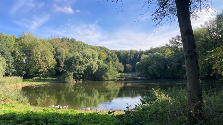 Smuddeboshoek