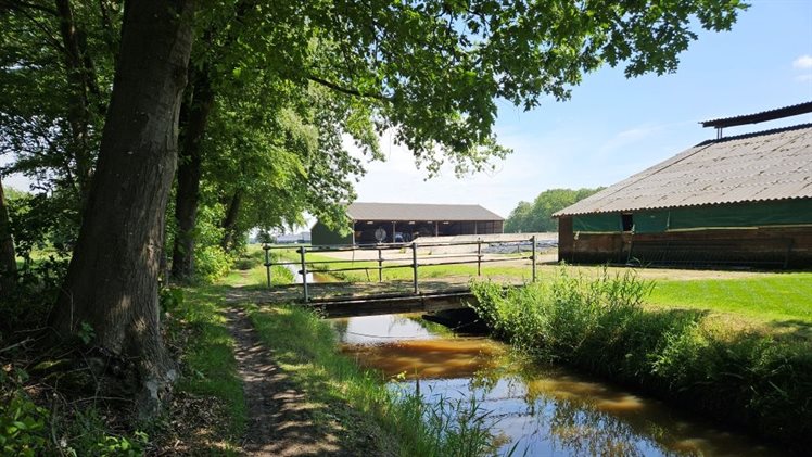 Loolee bovenlopen WKW