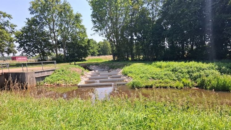 schoonebeekerdiep vispassage
