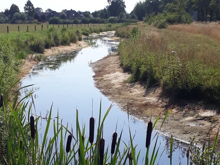 Afbeelding beginnende droogte