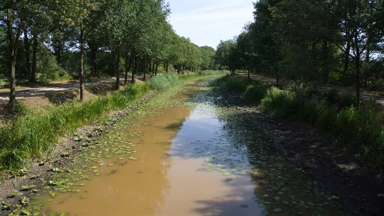 Kanaal Almelo-Nordhorn droogte
