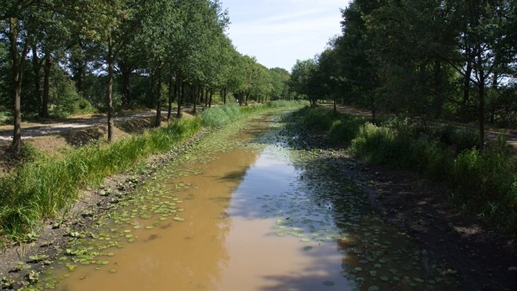 Kanaal Almelo-Nordhorn droogte