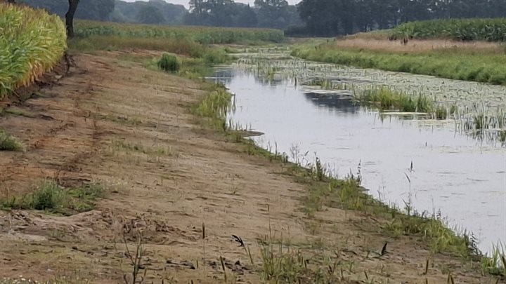 Loolee natuurvriendelijke oever