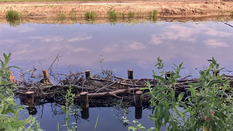 Loolee met vissenbos