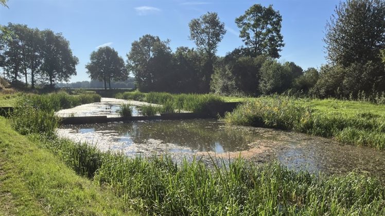 stuw Geelebeek2